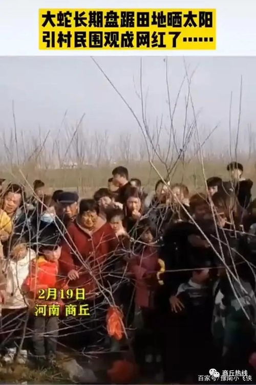一、 传统方式祭祖礼俗与心理状态体验