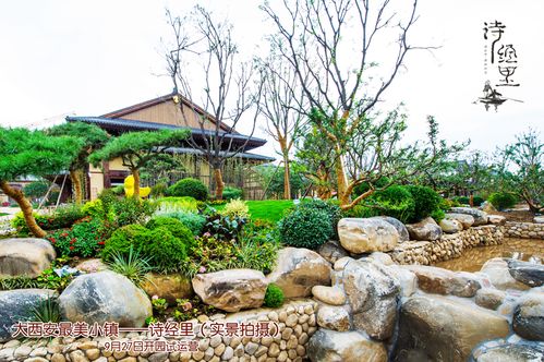 （二）水景布局与生机营造