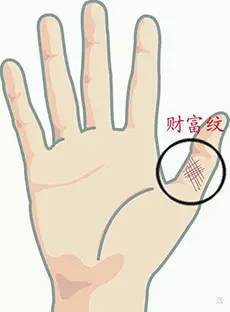 手相中孤独纹和吕字纹分别代表什么含义？