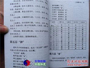 ：天时地利与商业开端的深层逻辑