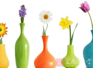 三、 双瓶对冲布局以化解结构性凶煞