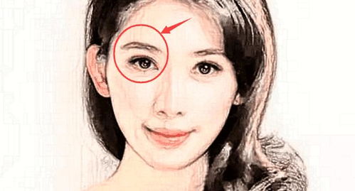 二、 眉毛清秀上扬：事业进取心之外在体现