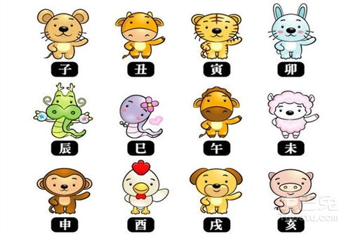 12生肖完整排列表是什么意思？
