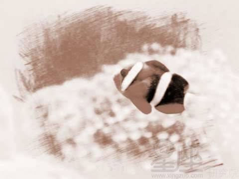 六、 雷电意象：考验与转机并存的双沉重寓意