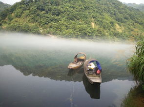 一、 雾漫小东江——雾里堪不清的“网红”