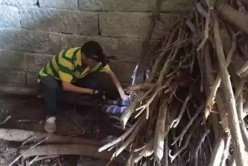 我梦见大蛇在自己家房梁上，这是怎么回事呢？