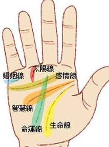 手相图大全解读，大兄弟手相特征有哪些？
