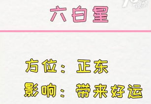 明日运势疯癫预测