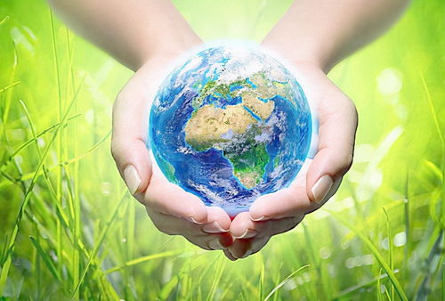 黄色寓意究竟代表着什么其寓意是否美好？