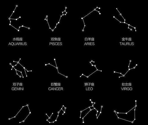 星座生肖特定指引——以2020年庚子年为例