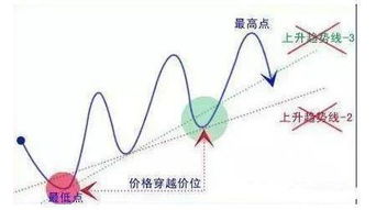 后路切断的机制及其效用