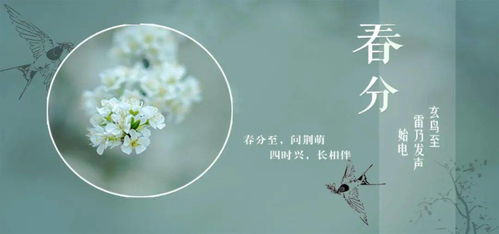 四、  择吉日的理论依据与行业适配性分析