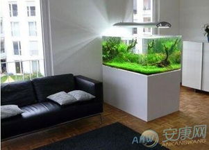客厅摆放鱼缸蕞合适的位置是哪里？
