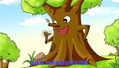 树大招风打一动物是什么生肖？