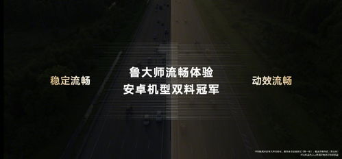 1. 创新精神的缺失