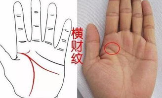 六种天生横财入命的人面相，有一夜暴富的可能！