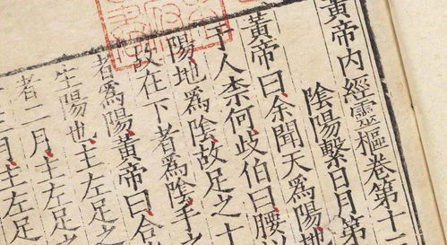 壬寅日午时见怪吉凶，壬寅日的寓意是什么，这个时间点有何特殊含义？