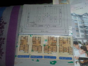 老房子东首房子风水书籍全套正版都有哪些？