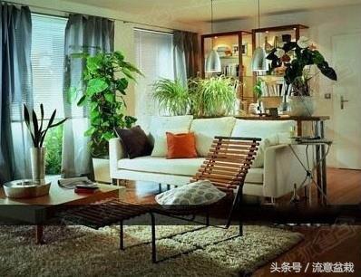 一、  总体原则：兼顾美观、实用与风水和谐