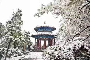 为什么选择冬天来北京？冷不是借口，是魅力