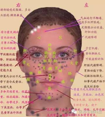 口唇及舌苔区域