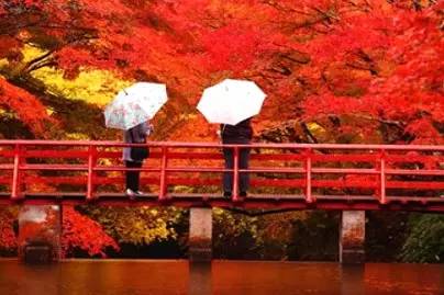 普陀红叶落日 宝藏打卡地大揭秘