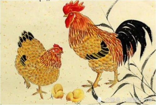 26年属鸡人的财运如何，运势怎样？