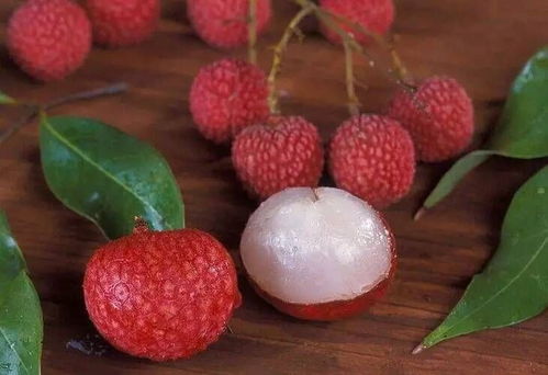 屋后种植荔枝树对风水有何影响？