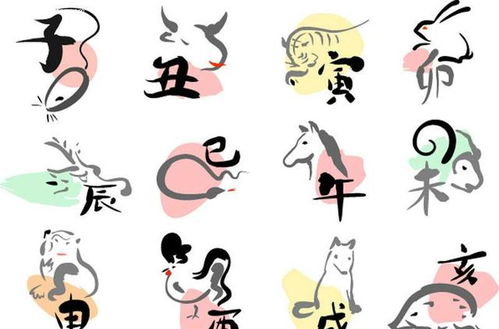 属兔男人2026年运势中，最强的招财转运物品是什么？