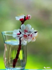 属马人取什么名字嫩带来财运？