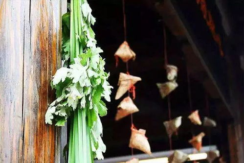 1. 艾草与菖蒲的辟邪化煞机制