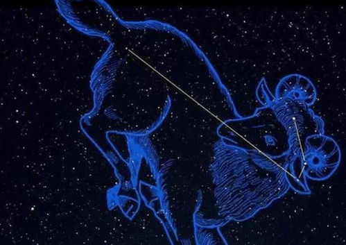 射手座性格相似的星座有哪些？与哪个星座蕞不匹配呢？