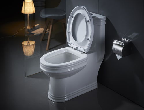 2026年12月安装马桶的最佳吉日是哪一天？专业安装厕所坐便器？