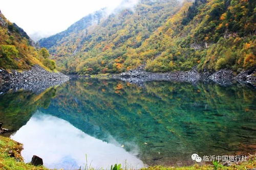 第三天：植物世界的绿色迷宫之迷失自我