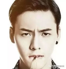 事业命运：一波三折