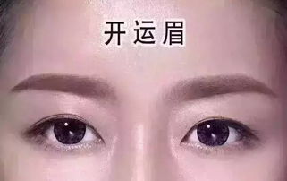 面相学视角下眉毛的重要性