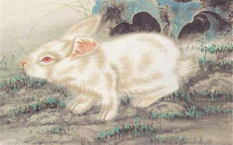 1999年出生属兔的人，今年感情运势如何？