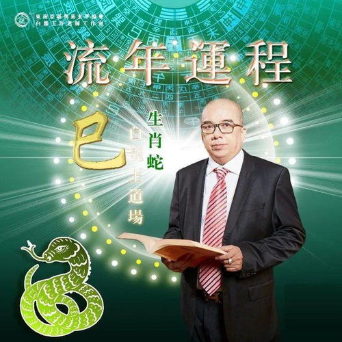 一、 生肖运势：细致洞察与个体化分析