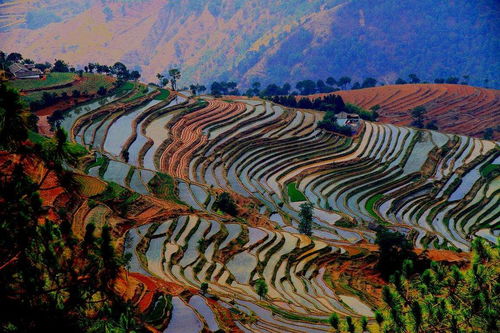 新山梯田到底值不值得跑一趟啊