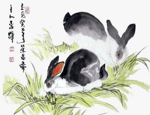 生肖兔的情商智商深度分析