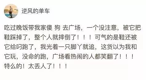 四字网名之简约美学与内涵价值