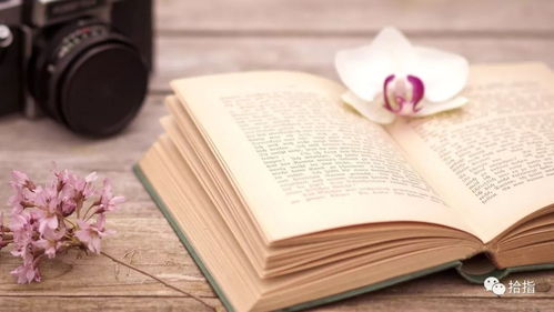 三、 古典诗学传统中“自”字的美学意象与精神追求