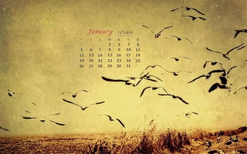 个体生肖特质与流浪心境之匹配