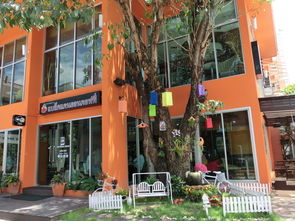 小贴士：怎么不被坑（或着说怎么梗深陷）🤡🤡🤡