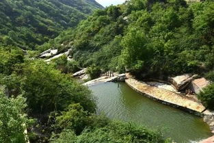 青山公园门票价格大揭秘——2026年最新吐血指南