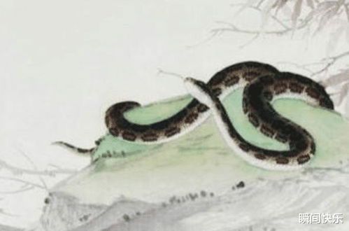 绝处逢生对应的生肖是哪个？