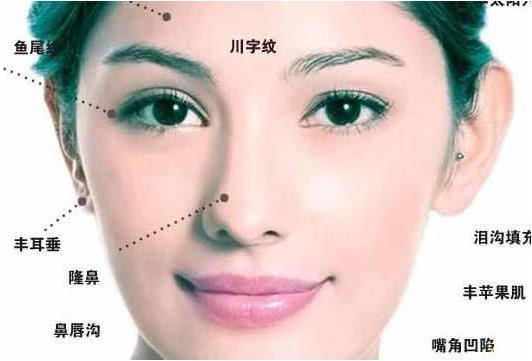 6．鼻梁高直或横纹——配偶质量及感情纠结指示器