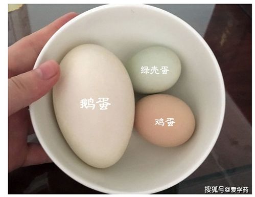 梦见鸡蛋鹅蛋分别预示着什么有什么特殊含义？