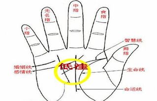 （二）元宝纹及井字纹的特殊意义