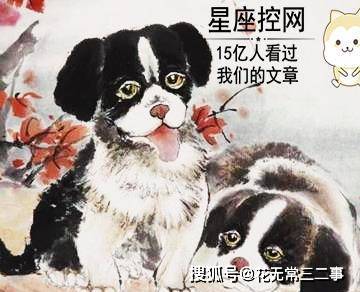 男鼠和女鼠的八字相合，他们的属相适合做夫妻吗？